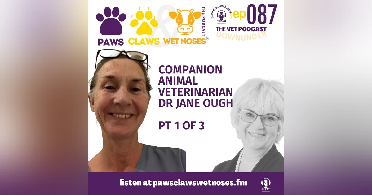 Conference Competitions and Conservation + Dr Jane Ough - pt 1 of 3