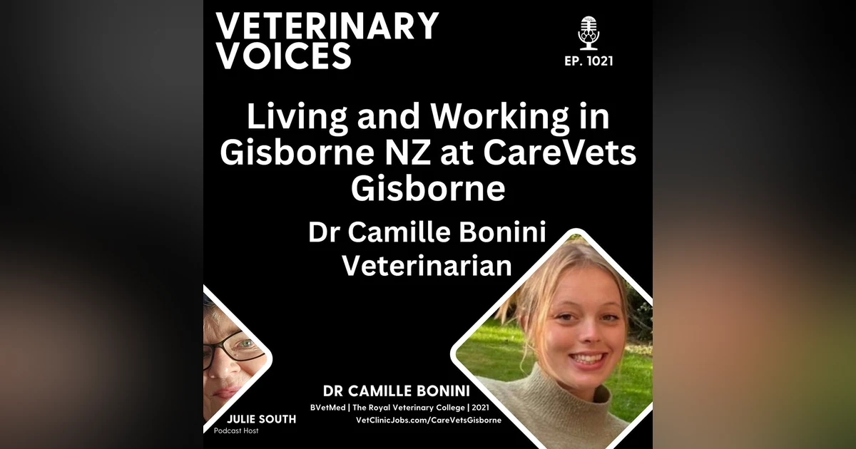 Living and Working as a Veterinarian at CareVets Gisborne with Dr Camille Bonini - ep.1021