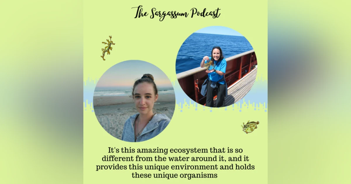 Ep36: The Living Ecological Community within Sargassum with Lindsay Martin & Amy Siuda