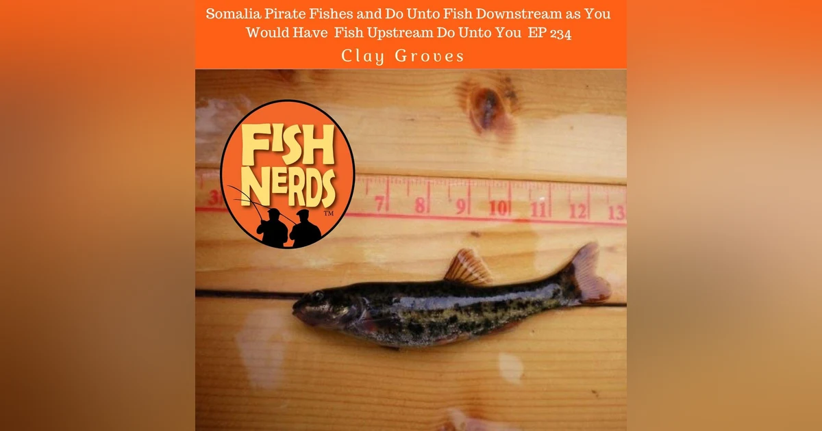 Somalia Pirate Fishes and Do Unto Fish Downstream as You Would Have Fish Upstream Do Unto You EP 234