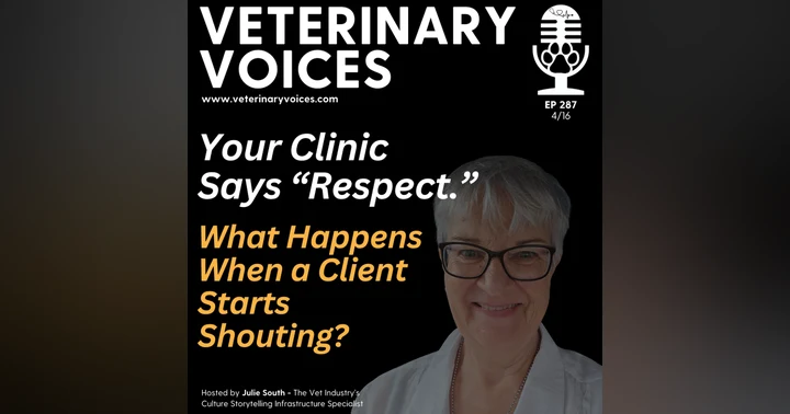 image for L Is for LIVED VALUES: What Happens When a Client Starts Shouting?