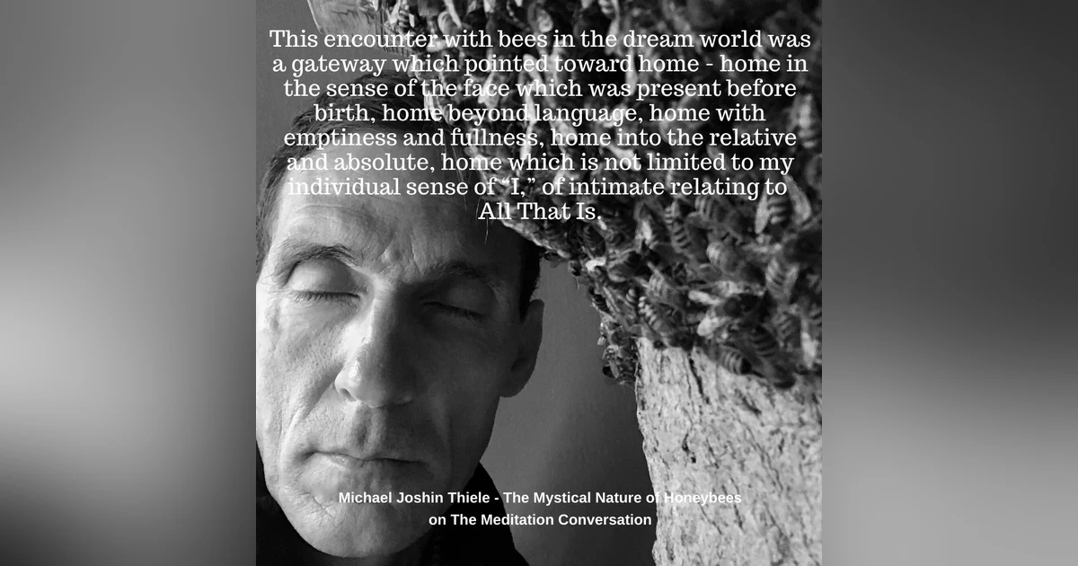 057. The Mystical Nature of Honeybees - Michael Joshin Thiele