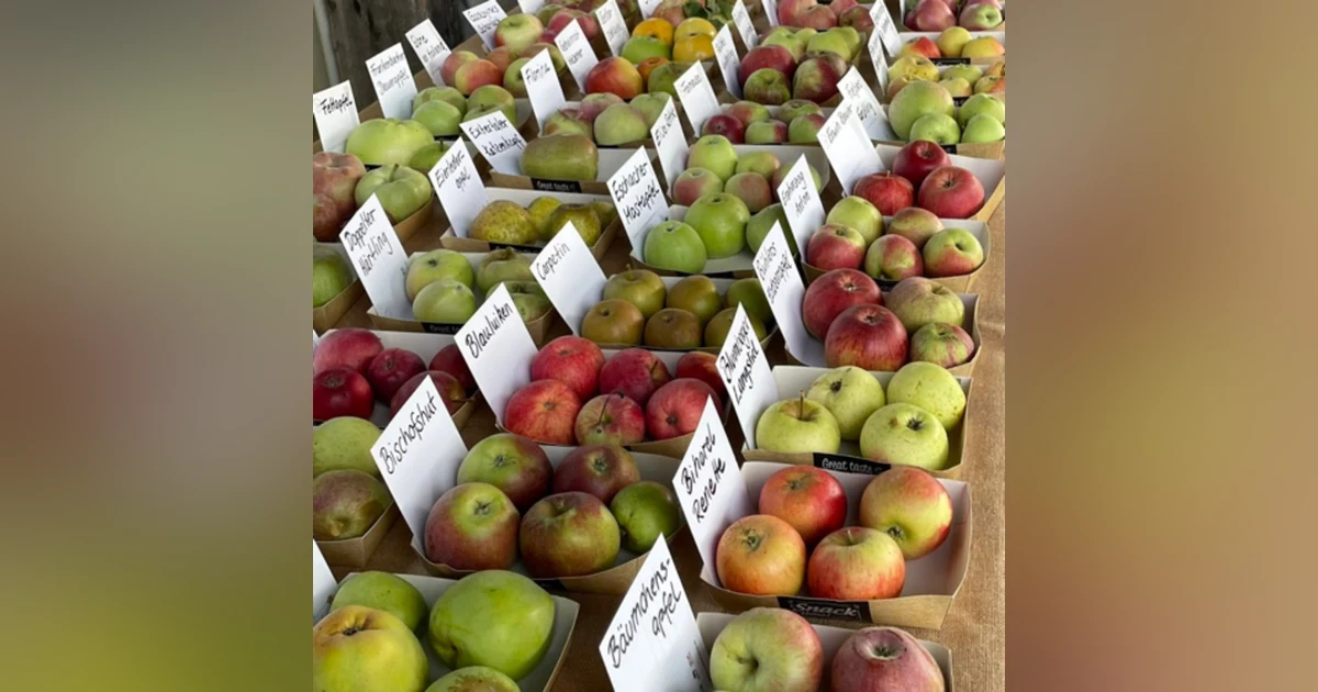 As American As Apple Cider - with Jake Watt
