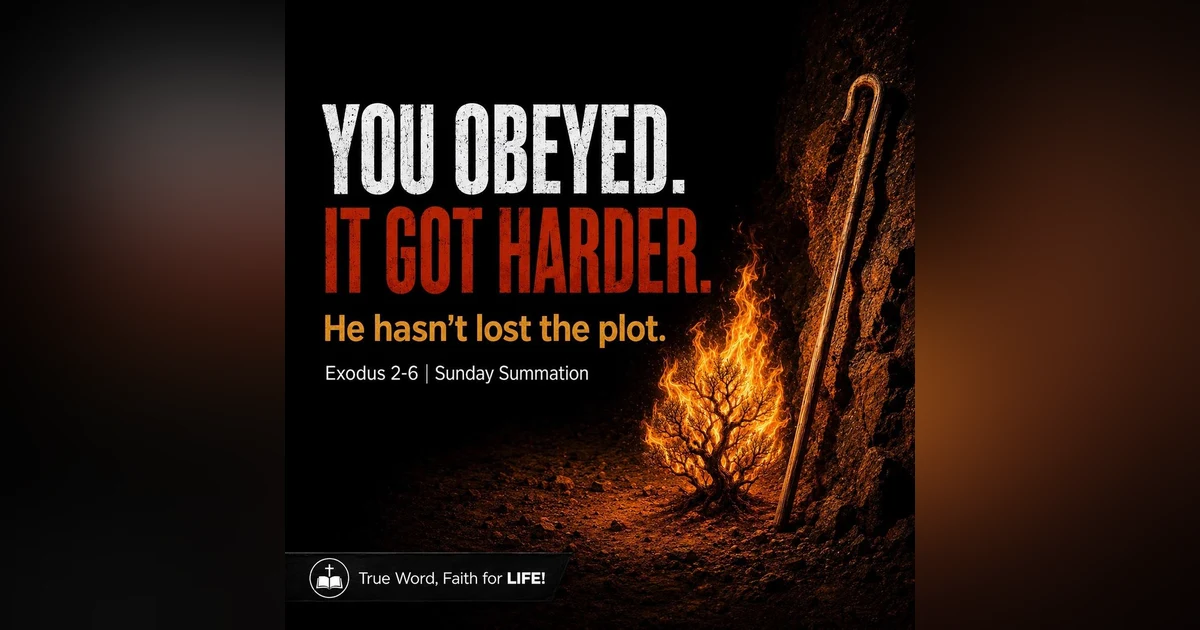 You Obeyed and it got Harder!