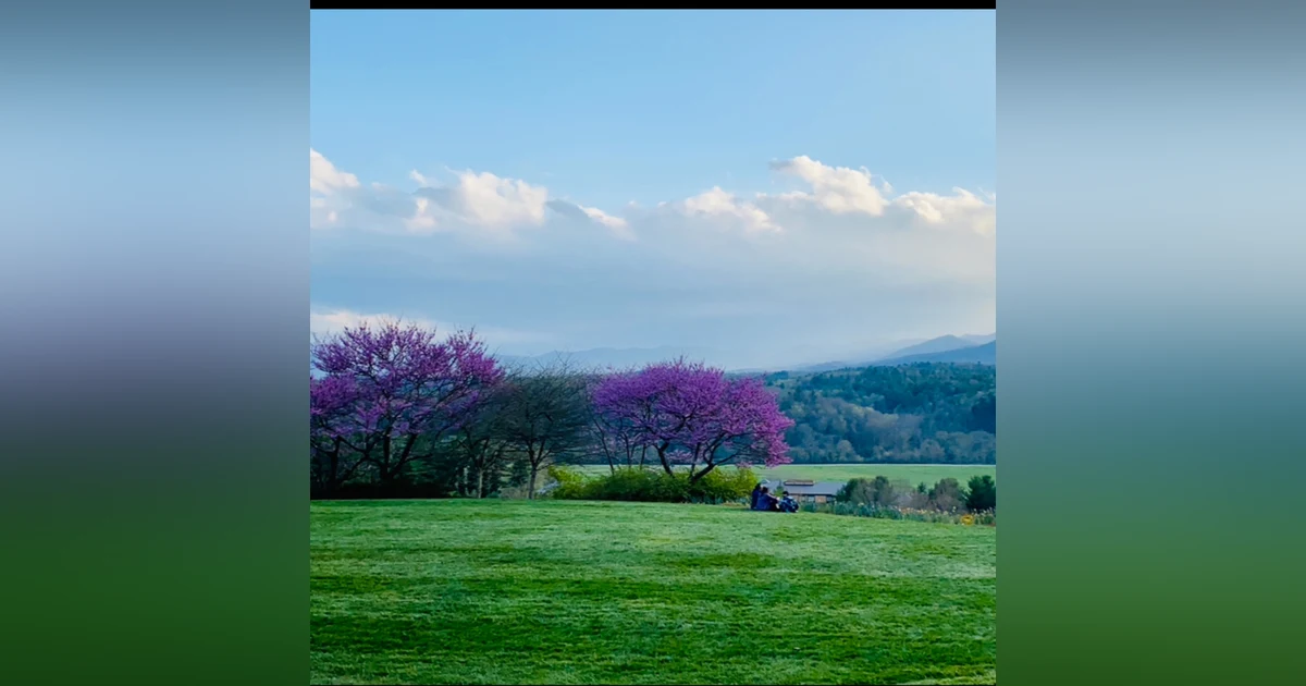 Bloom and Belong: An Easter Blessing with Family