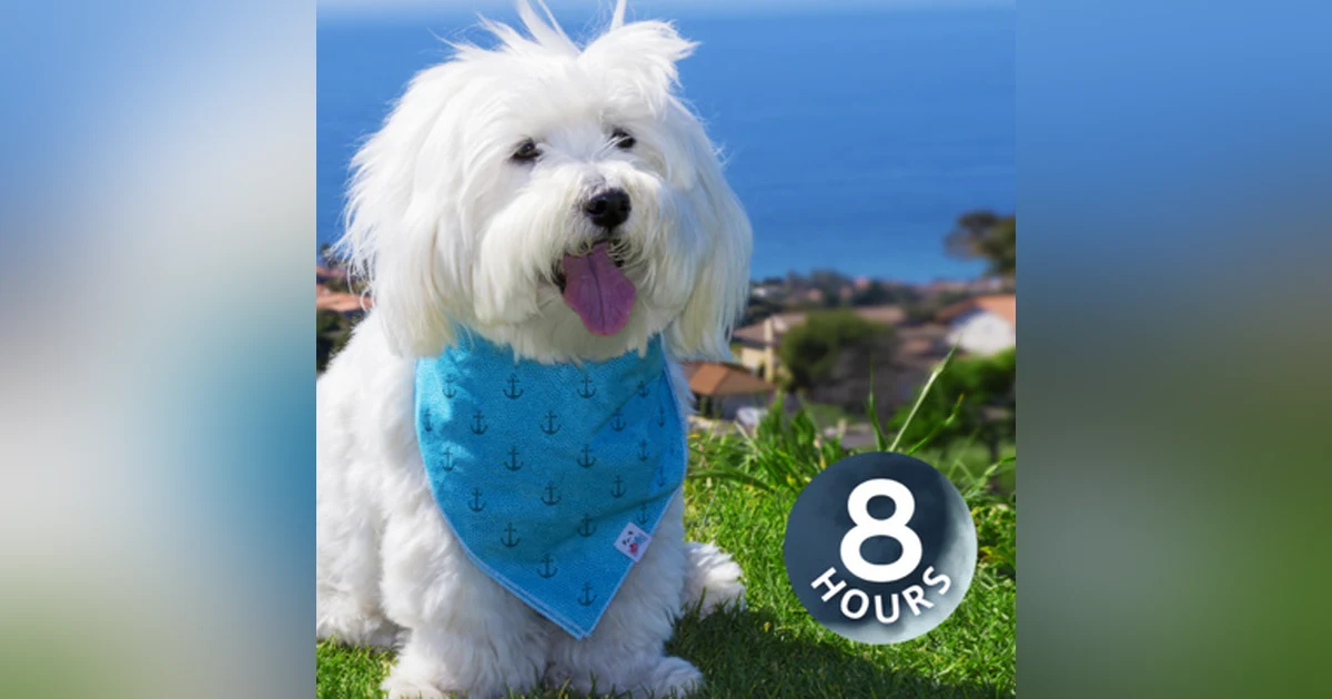 8 Hours White Noise to Stop Barking Dog I Sound Machine for Dog Anxiety