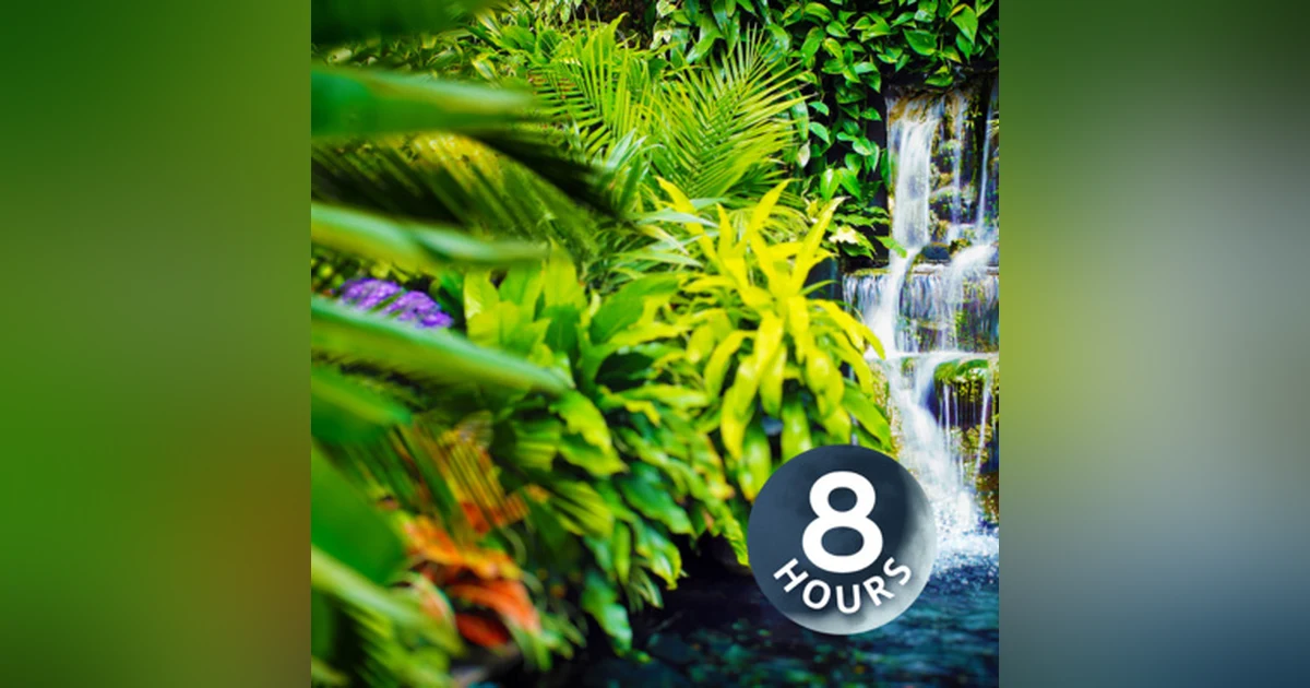 Gentle Stream Water Sounds White Noise 8 Hours | for Sleep, Relaxation or Studying