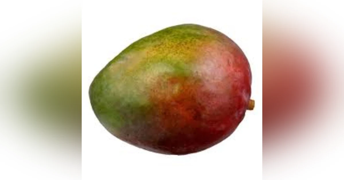 July 22-Mango, Jeopardy, Danny Glover, The Eagles, Willem Dafoe, David Spade, Selena Gomez