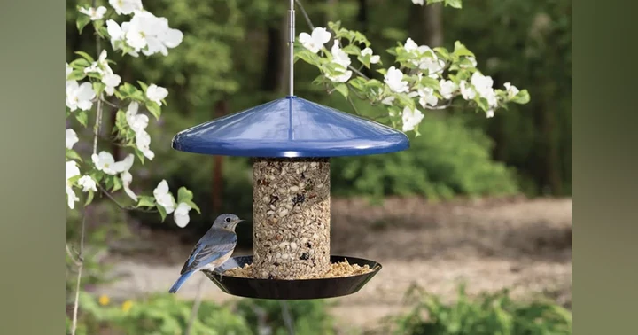image for Creating Joy, One Bird at a Time: Lessons in Leadership