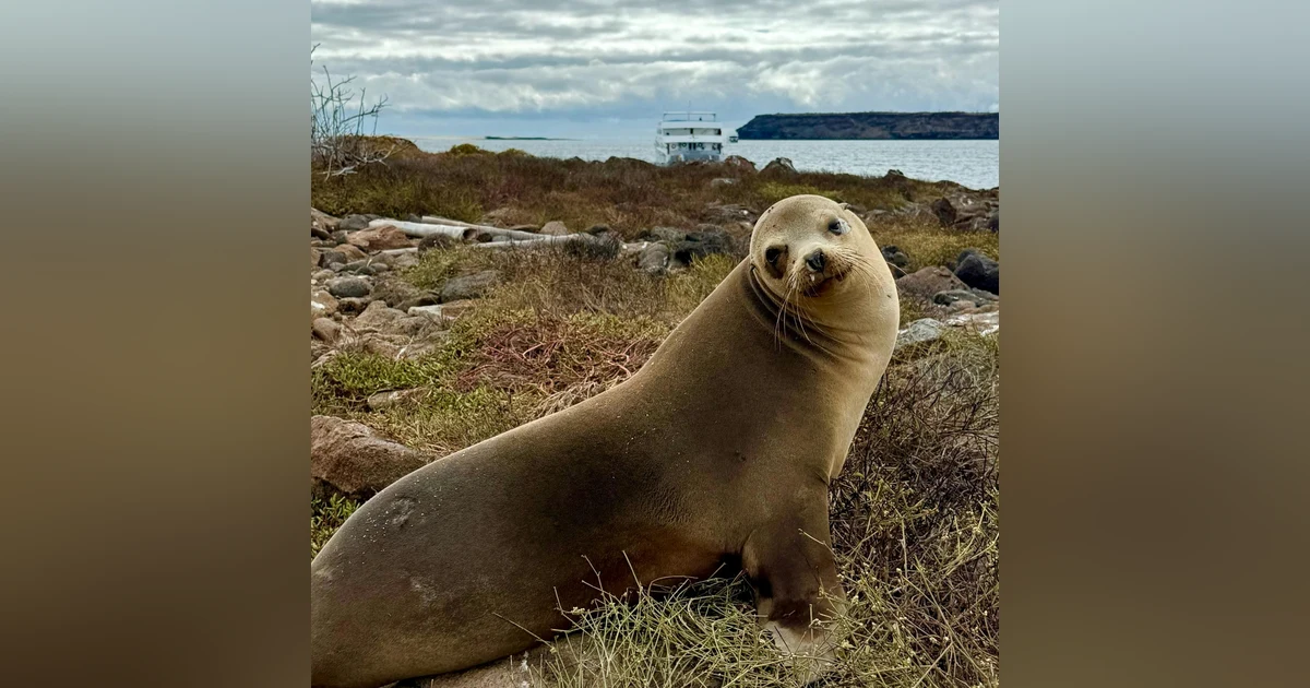 #172: Exploring Galápagos National Park