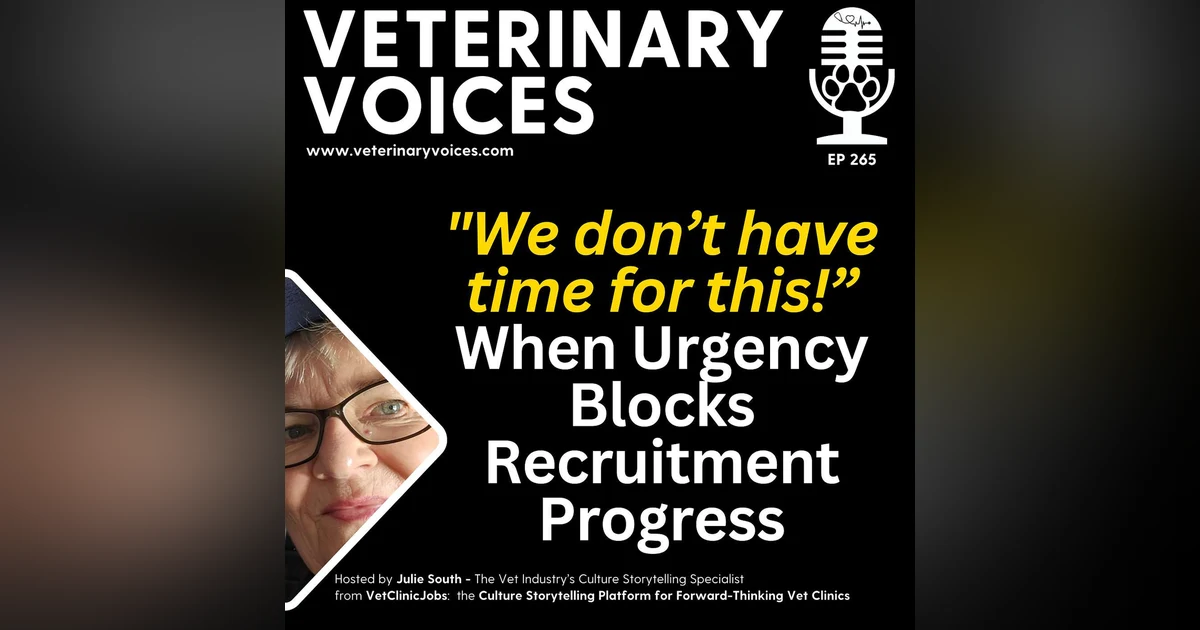 "But Julie! We Don't Have TIME For THIS!” — When Urgency Blocks Recruitment Progress - 265