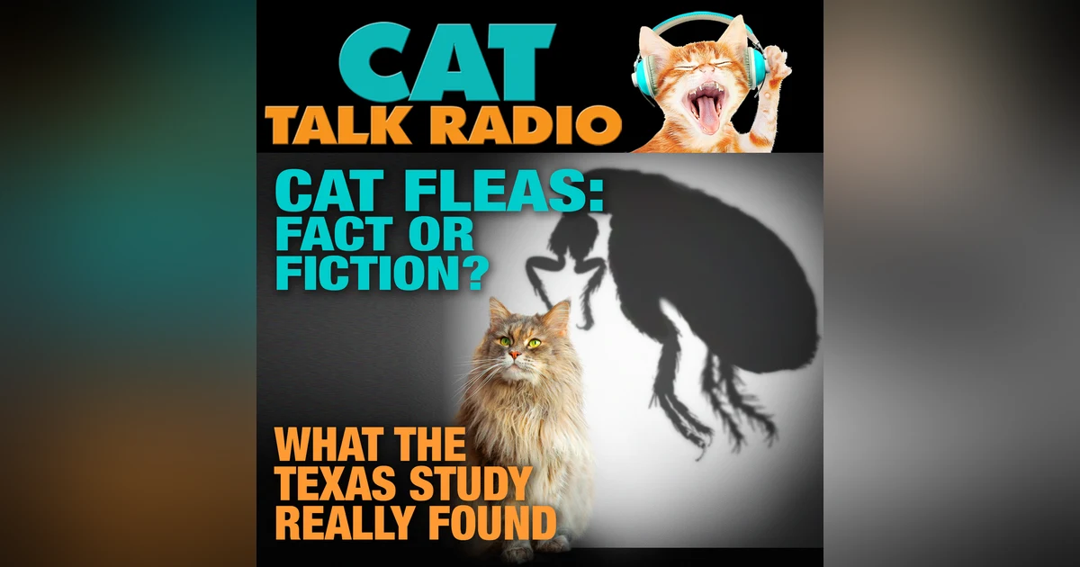 Cat Fleas and Murine Typhus: Should Cat Owners Be Concerned?