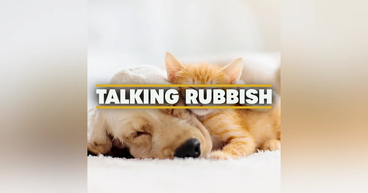 37. Eco-pets - reducing your pet’s carbon pawprint