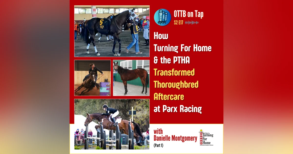 S2 E17: How Turning For Home & the PTHA Transformed Thoroughbred Aftercare at Parx Racing
