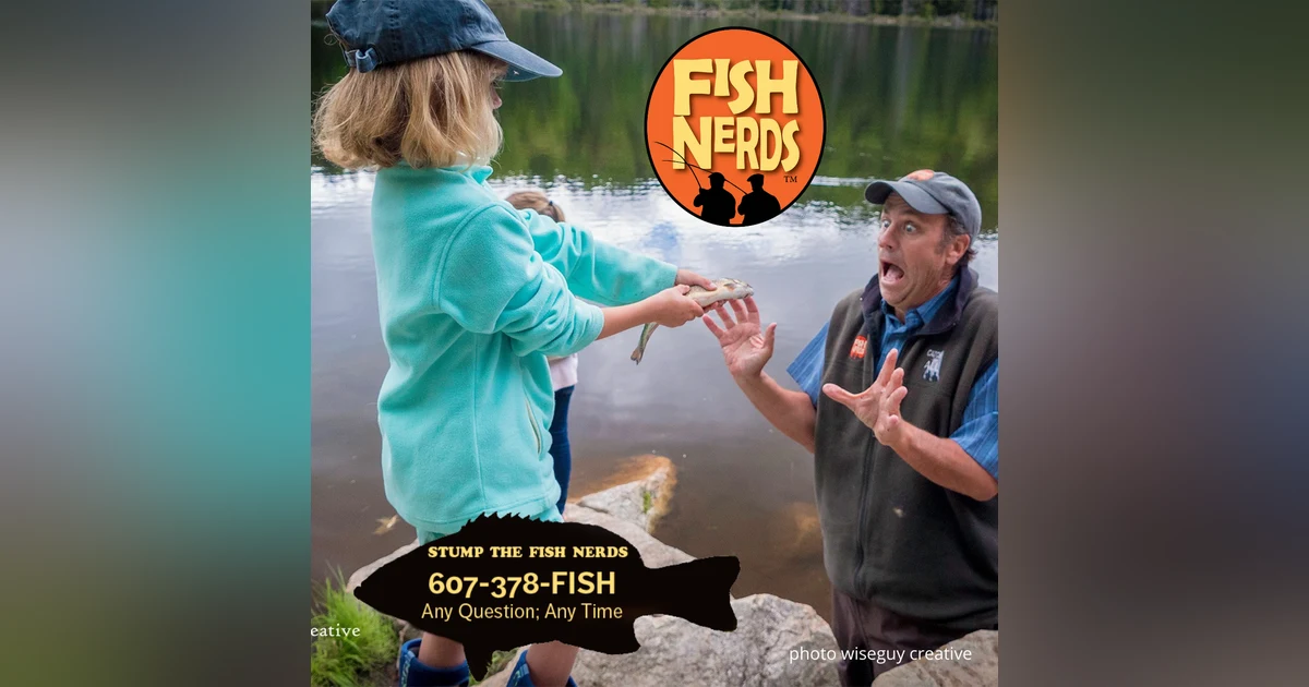 NaPodPoMo #19 Getting Lucky with Bluefish