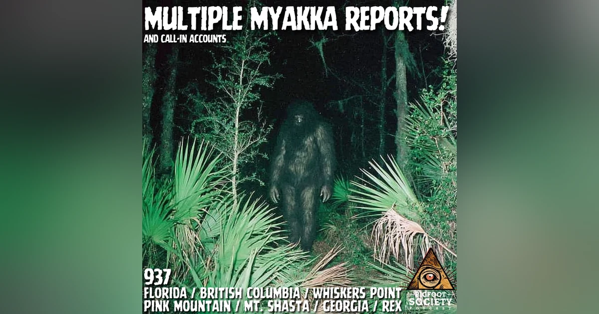 Government Interrogated Me After My Bigfoot Sighting!