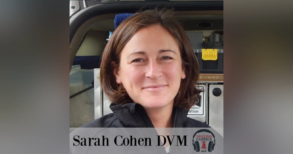 Dr. Sarah Cohen
