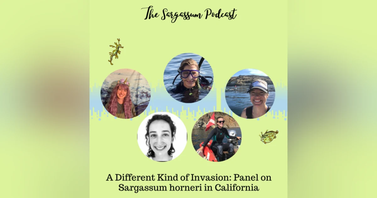 Ep.33: A Different Kind of Invasion - Panel on Sargassum horneri in California