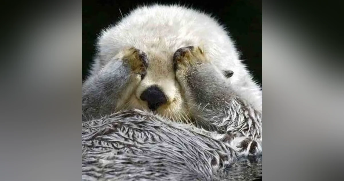 Are You Playing HAPPINESS HIDE & SEEK?