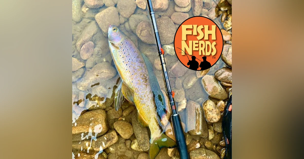 NaPodPoMo #17 Fishing for Arctic Grayling in Alaska