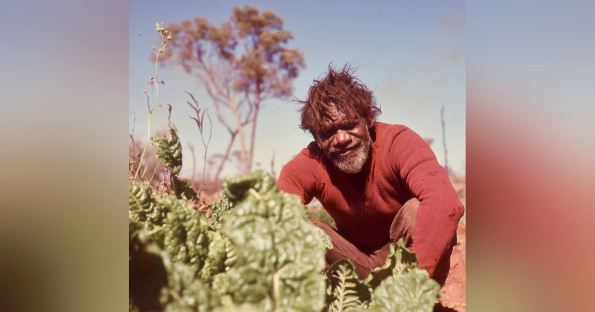 Maudie, Alice, and the Flower Well Mob: Brief Voices of First Australians, Deserts Apart