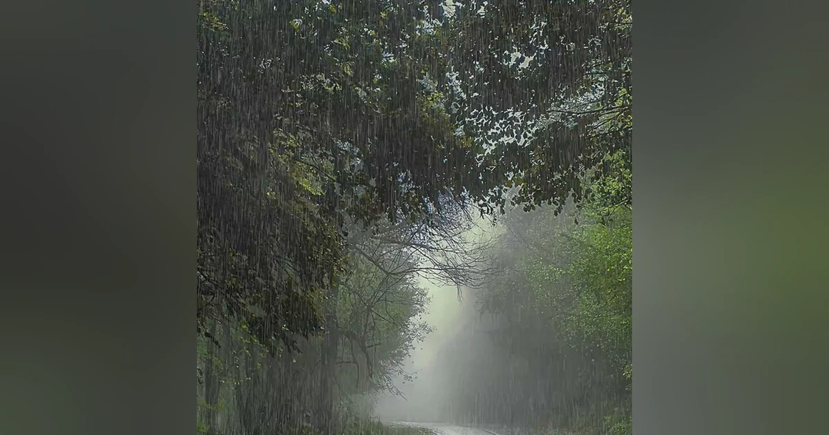 10 horas de lluvia y truenos relajantes para dormir profundamente