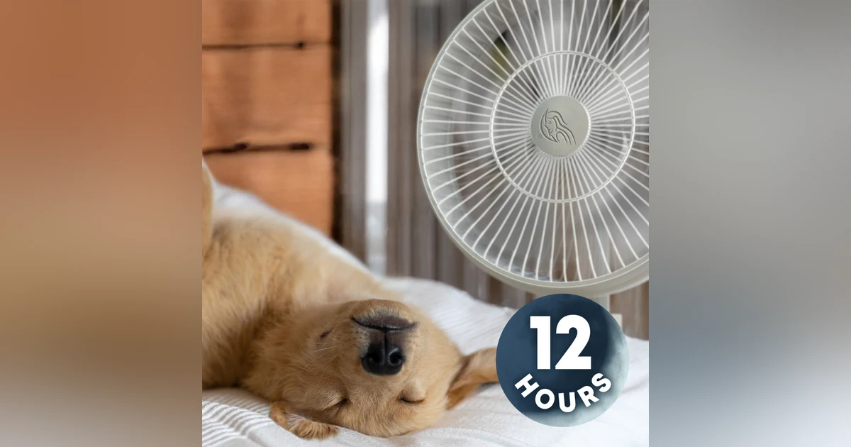 Relax Your Dog with White Noise Fan Sounds 12 Hours | Dog Tested, Dog Approved!