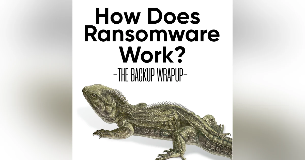 How Ransomware Works: The Five Objectives of Every Attack