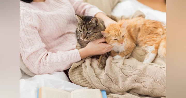 image for Resolving Unwanted Cat Behaviors