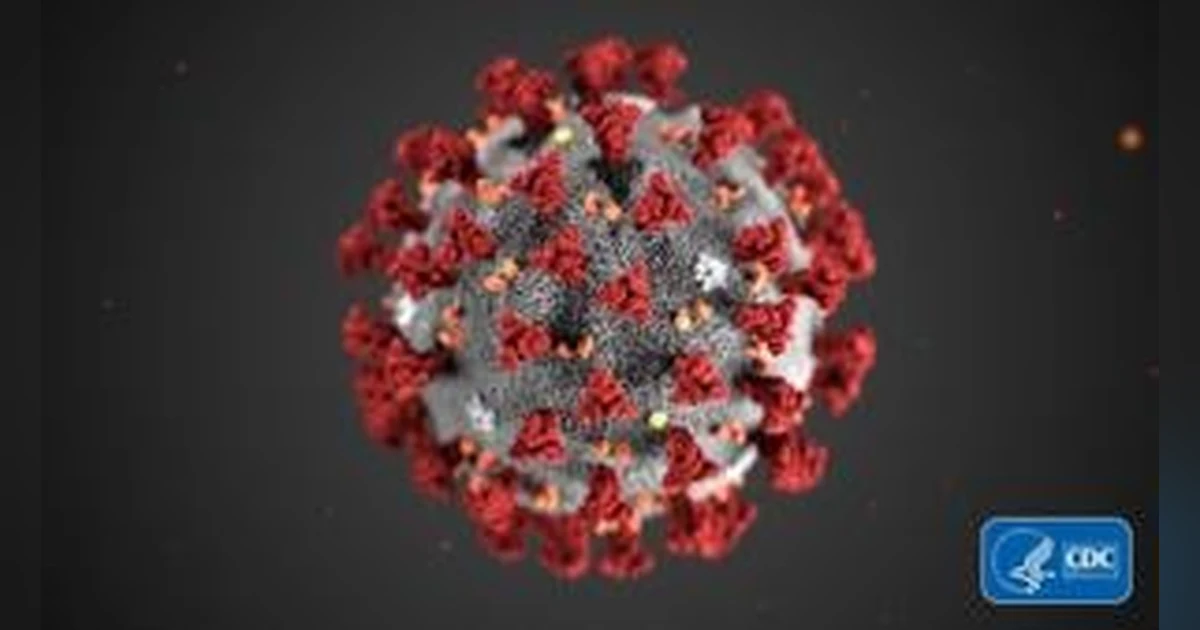 Reporting Through a Pandemic: A Local News Journalist's Perspective