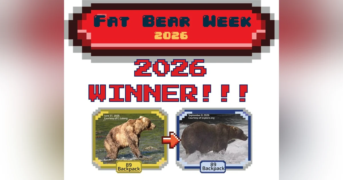 Fat Bear Week Winner