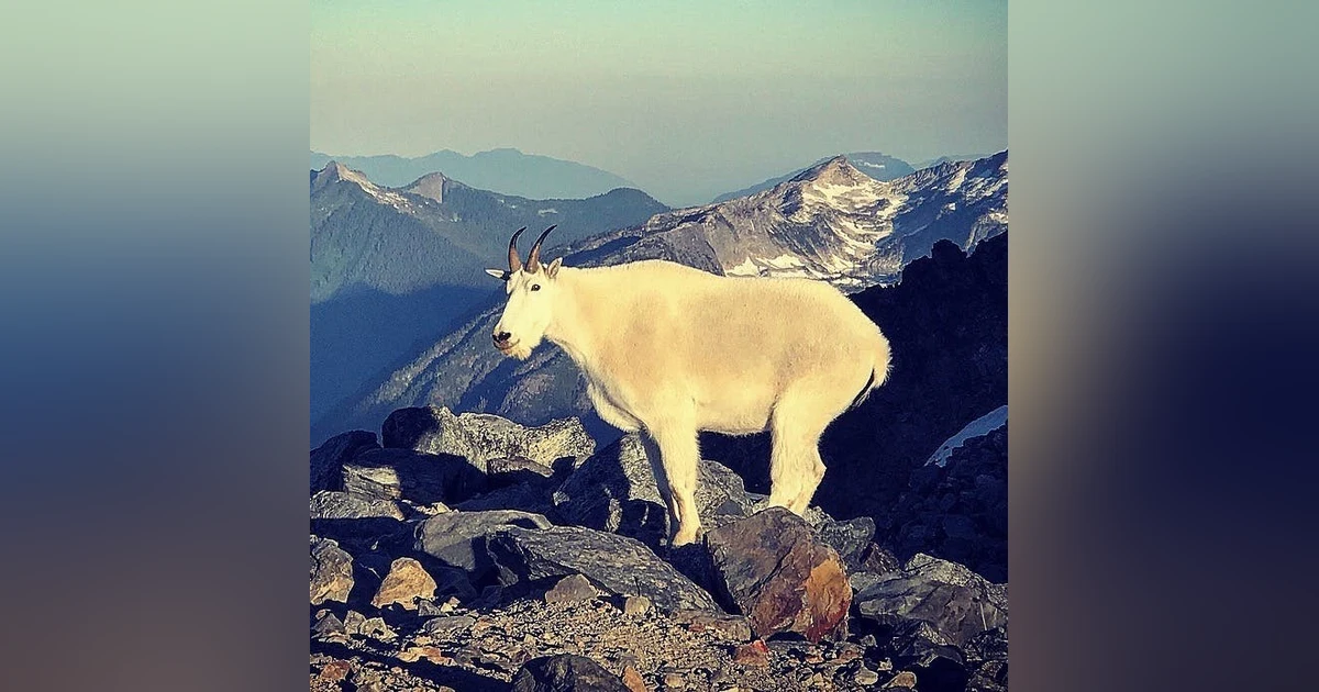 #02: North Cascades National Park: Glaciers and Boulders and Scree Oh My!
