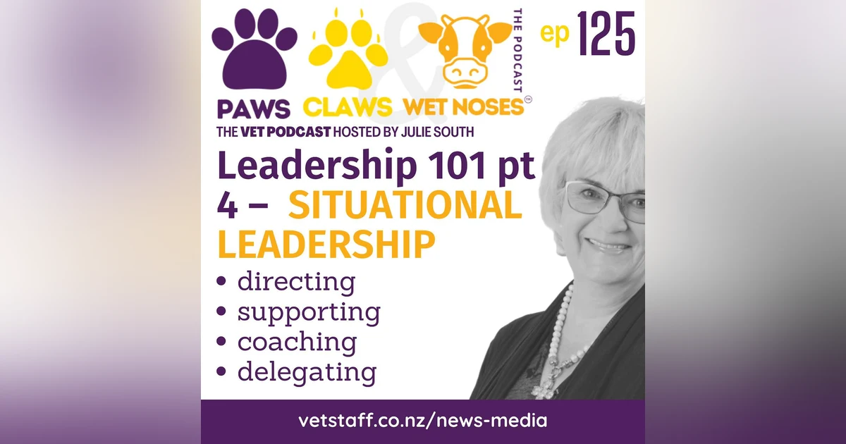Situational Leadership Mastery - Cracking the Leadership Code 101 - pt 4