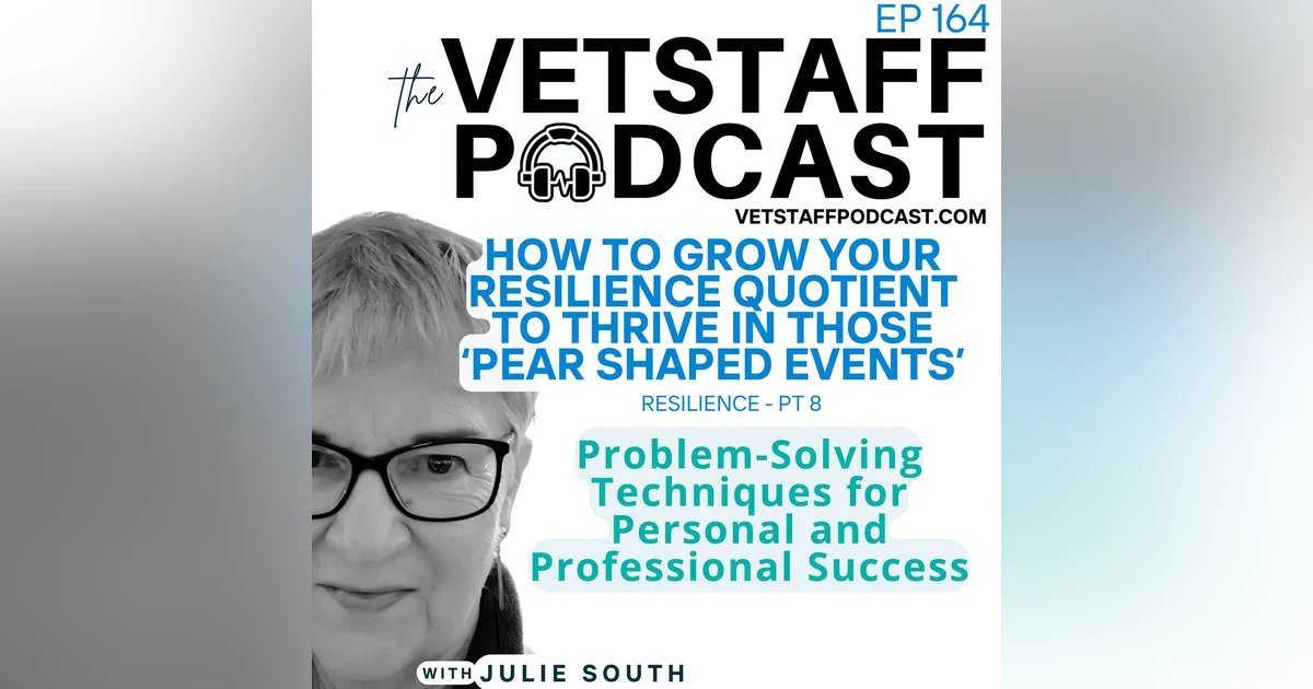 Strengthening Resilience Quotient: Problem-Solving Techniques for Personal and Professional Success