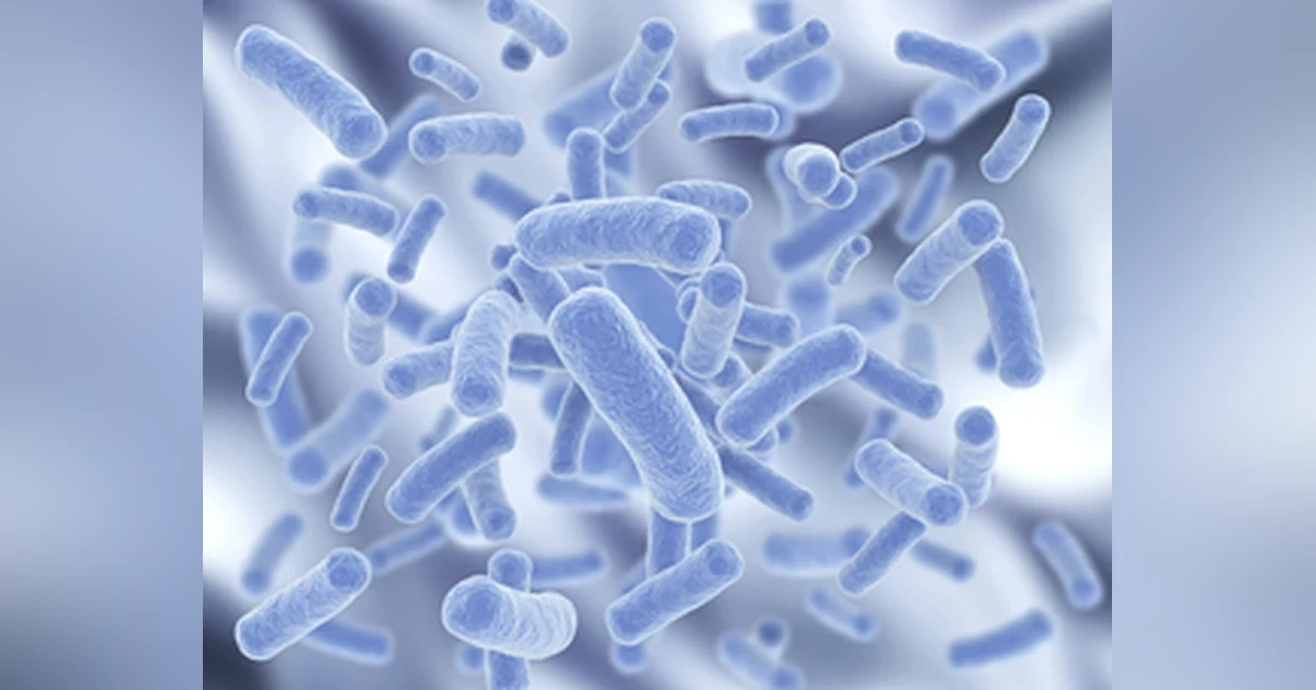 February 2022: UTIs and Estrogen