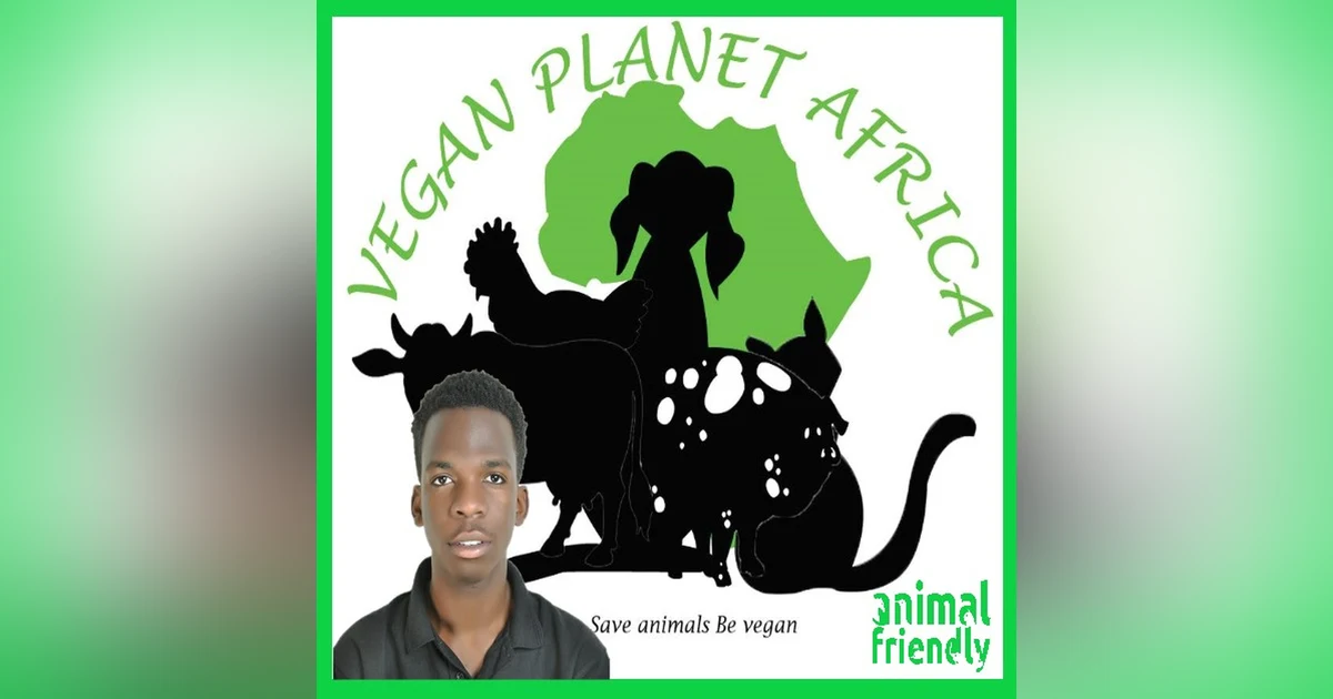 20. Vegan Planet Africa