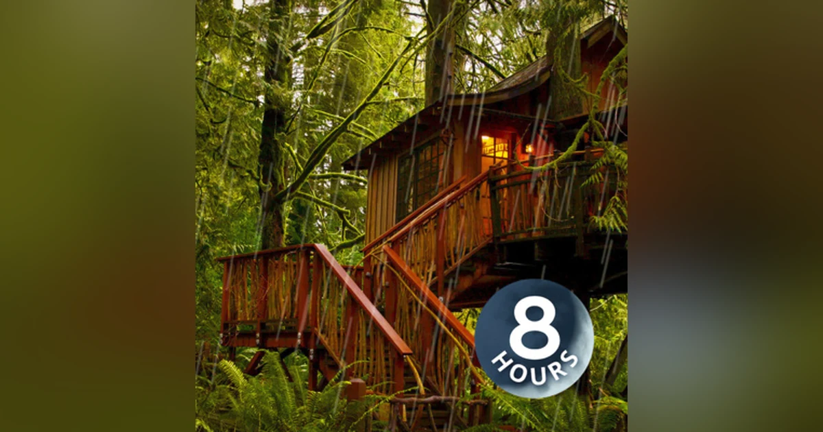 Sleeping Sounds of Rain in Forest Falling upon Treehouse | 8 Hours