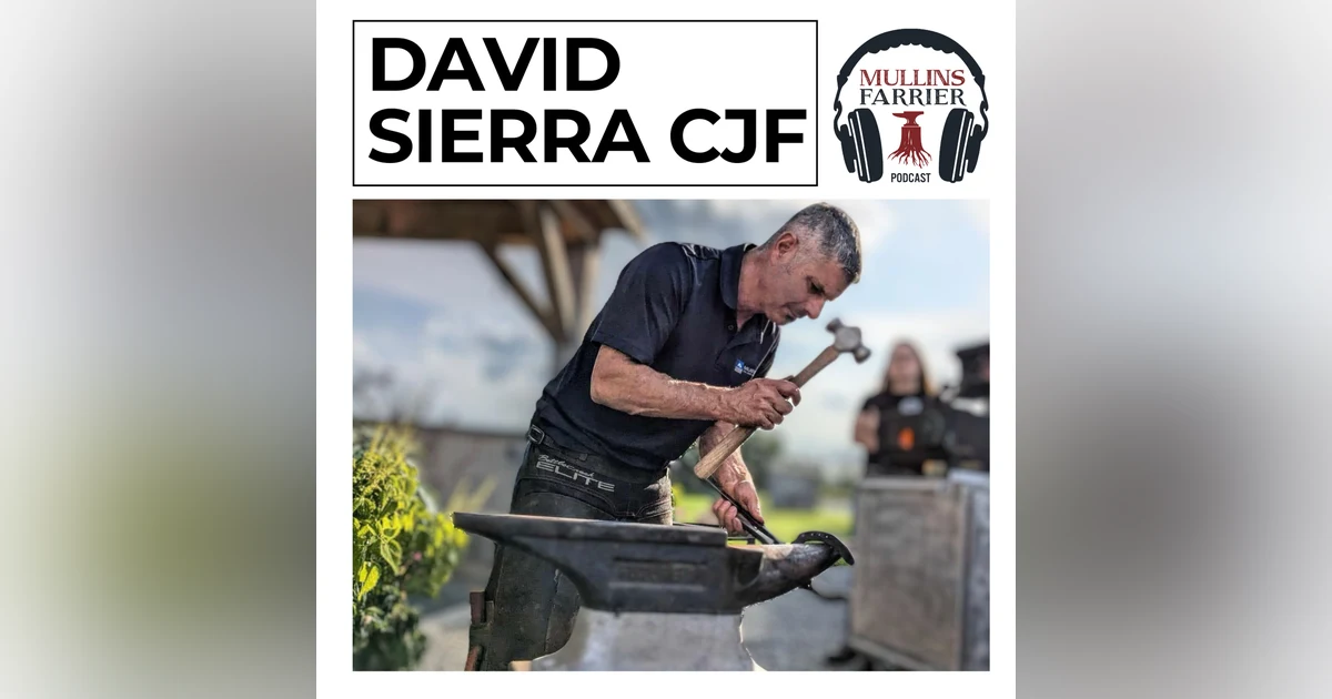 David Sierra, CJF