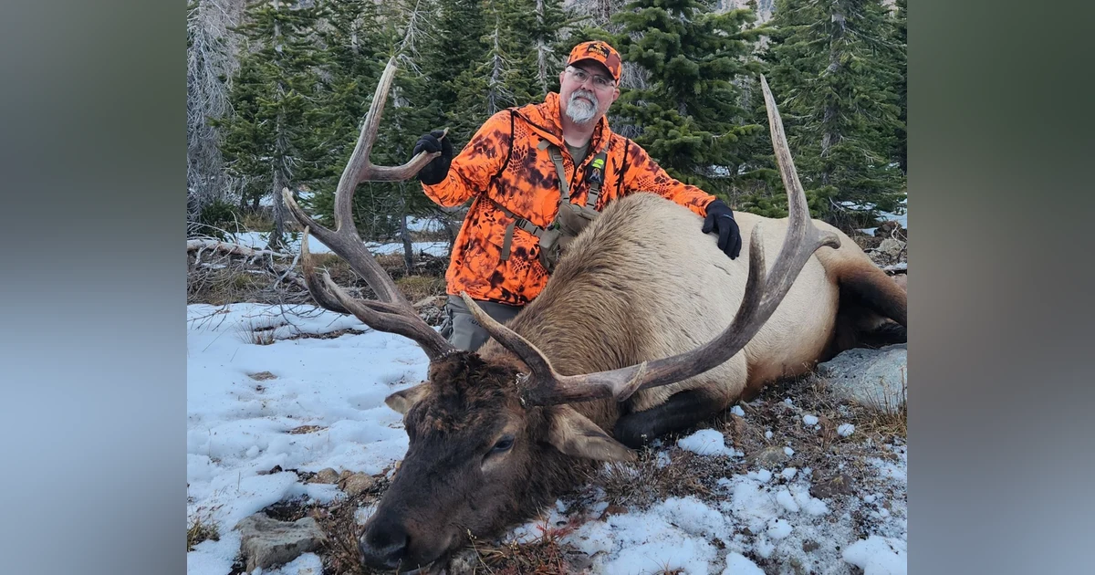 185. How to Win a Hunt with Ross Sharp