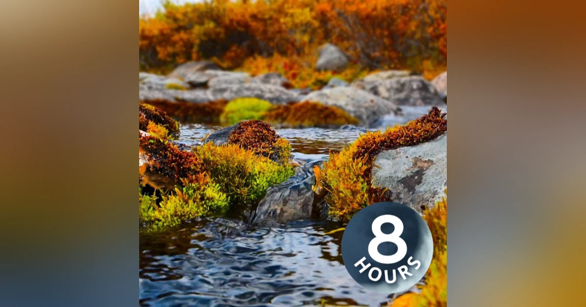 Water Sounds for Sleep 8 Hours | Nature Background & Stream in Canada