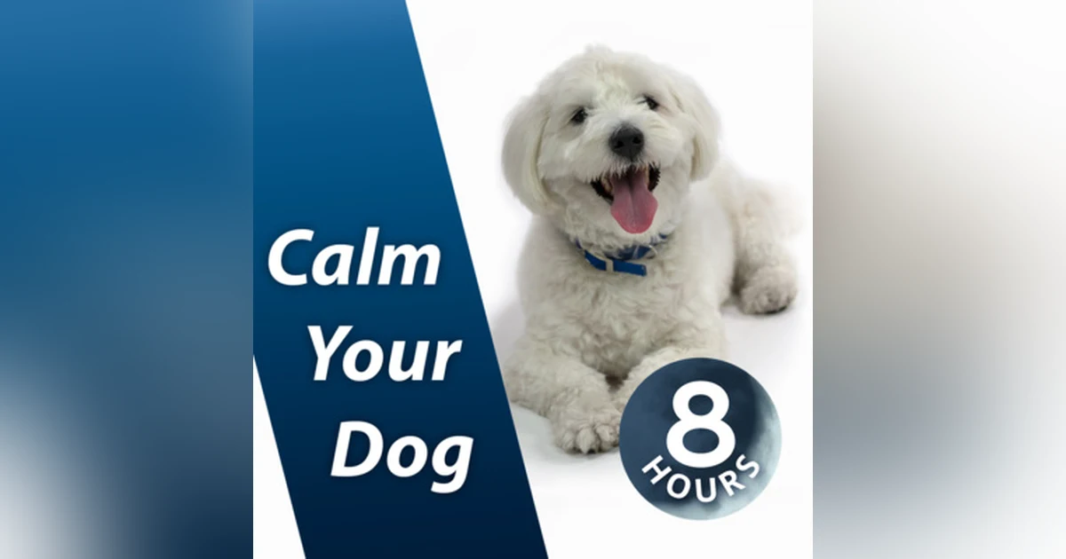 Calm Your Dog with White Noise 8 Hours | Relaxing Sound Soothes Puppy Anxiety Fast