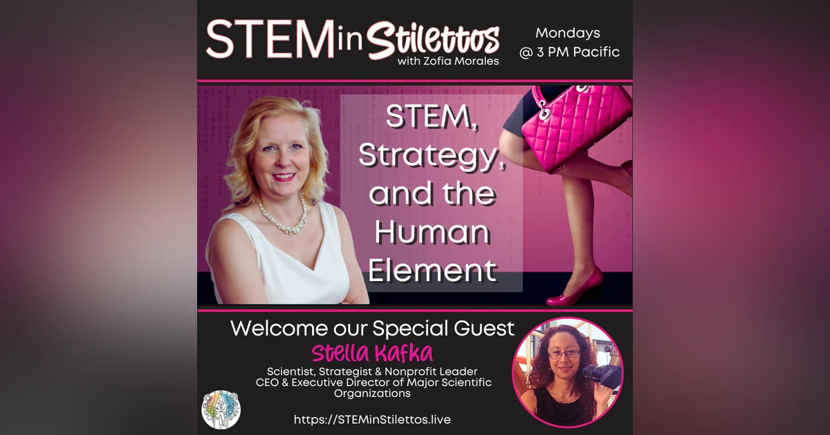 STEM, Strategy, and the Human Element