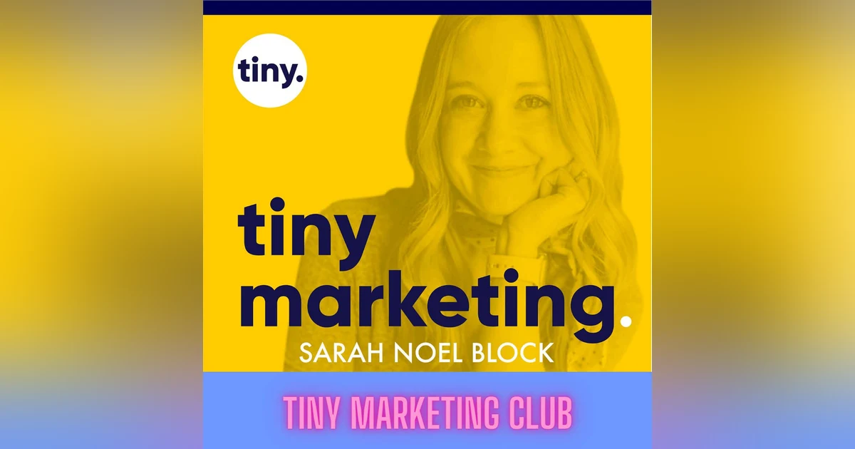 Can you explain the Tiny Marketing Systems? | Tiny Marketing Club Series