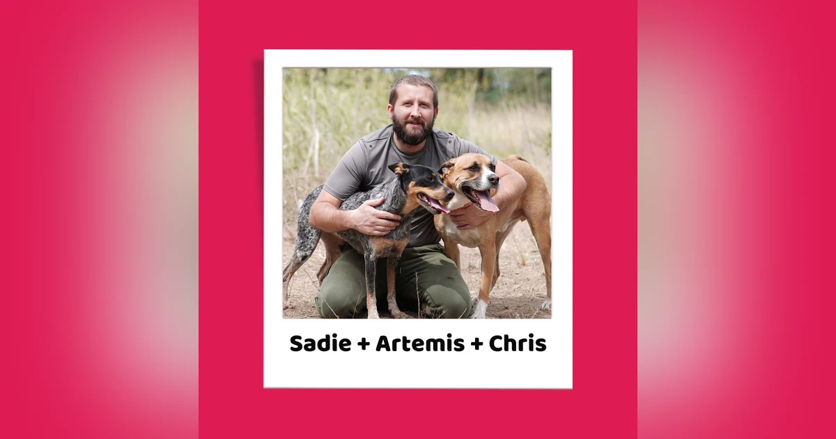 Sadie + Artemis