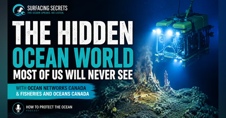 image for The Hidden Ocean World Most People Will Never See