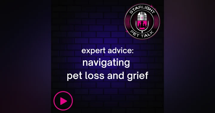 image for Anticipatory Grief: Navigating the Final Days with Your Pet