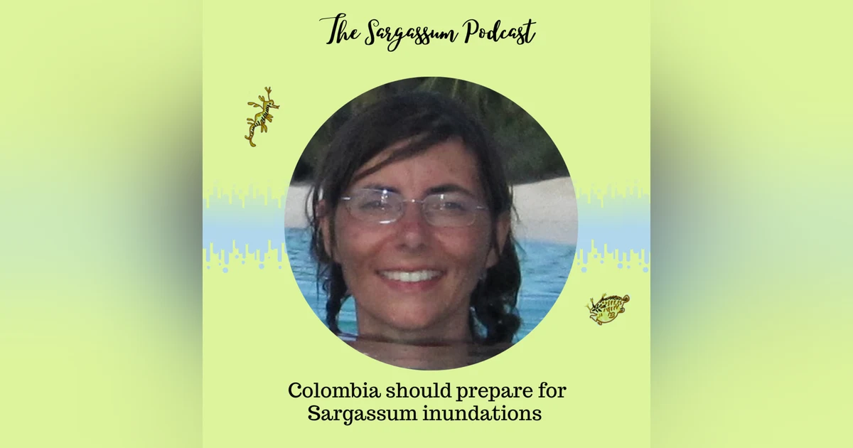Sargassum Podcast Episode 15 : Impact of Sargassum on remote turtle habitats with Brigitte Gavio