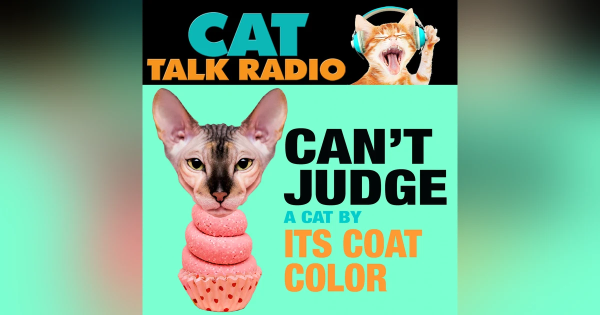 You Can't Judge a Cat By Its Color…or Can You?