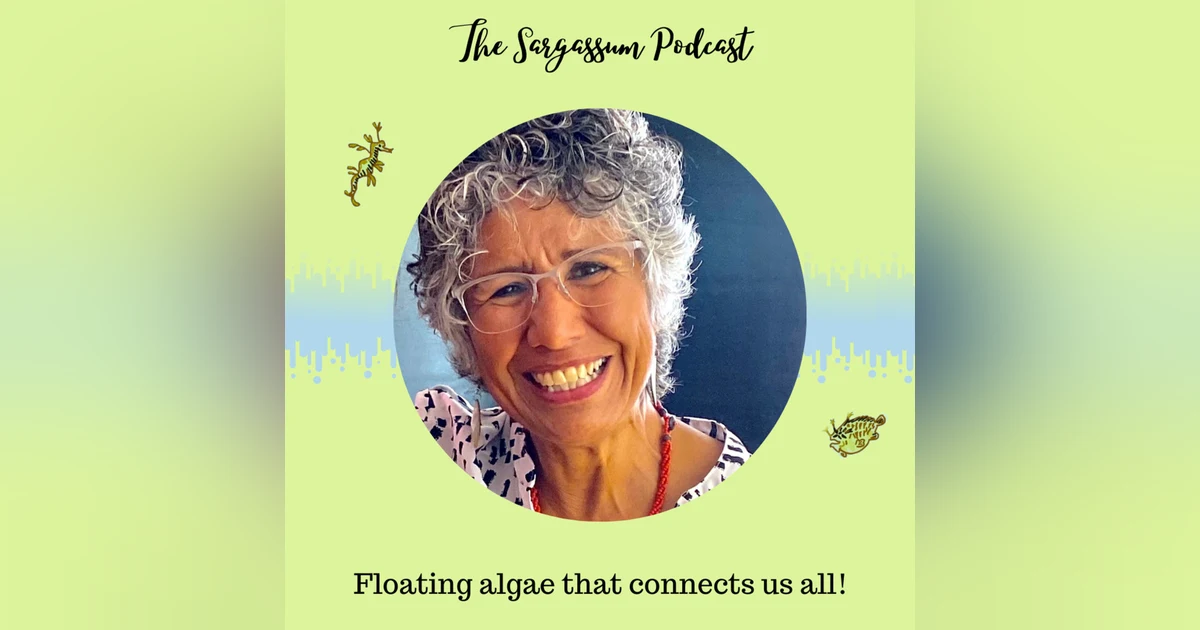 Episode 6: Connecting people working with Sargassum with Prof. Ligia Collado-Vides
