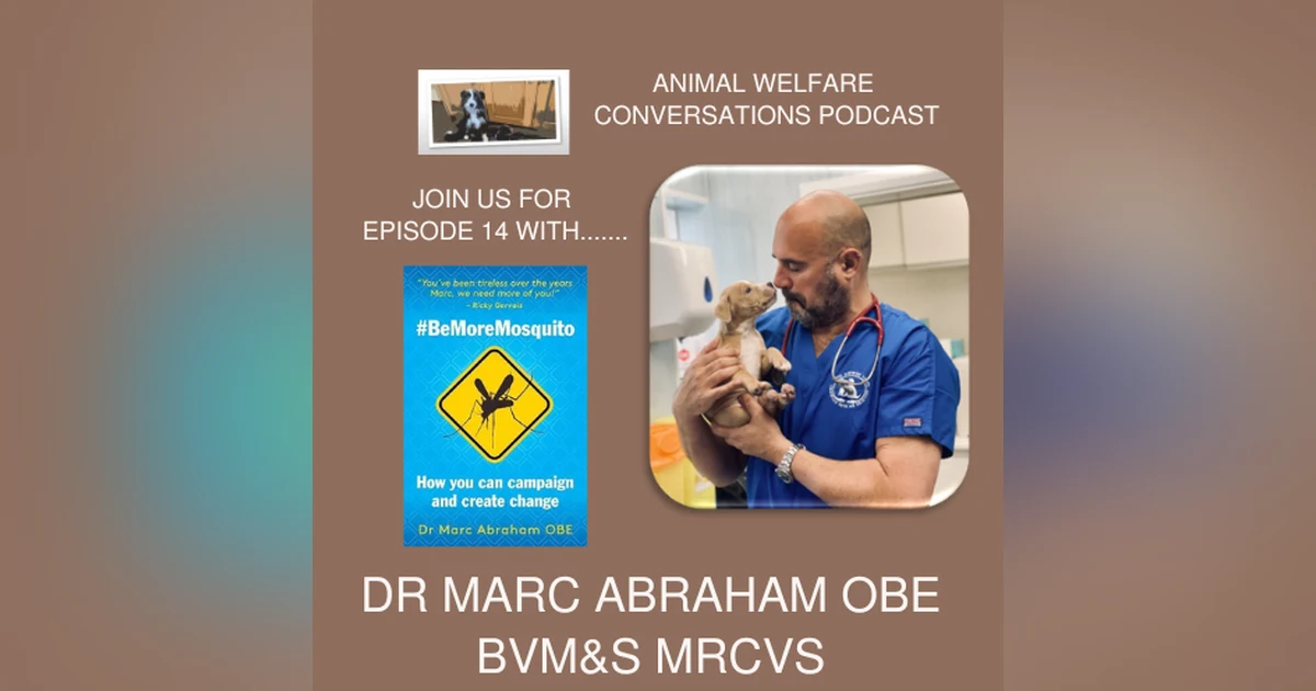 Episode 14 - Dr Marc Abraham OBE, Campaigning for lasting change